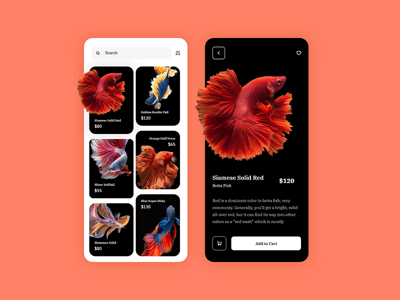 黑色金鱼app